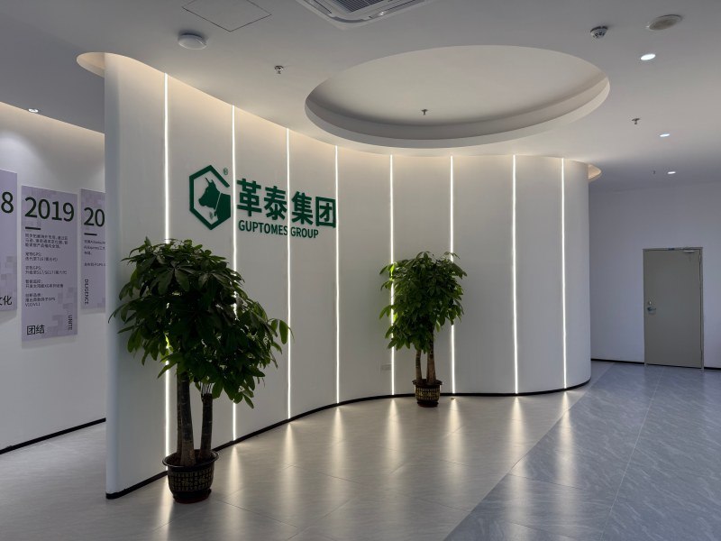 Shenzhen Guptomes Group Co., Ltd.