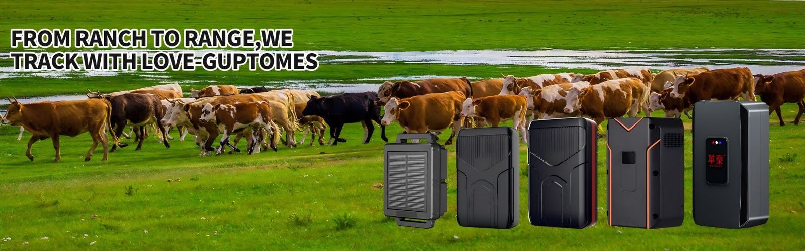 China best Cattle GPS Tracker on sales