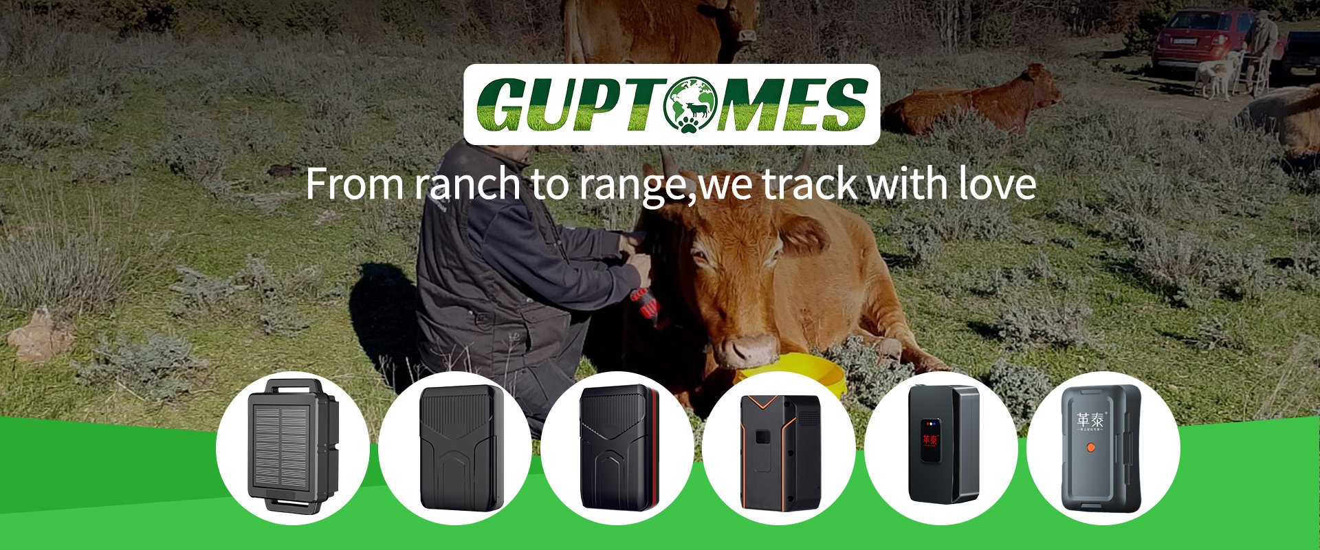 Kwaliteit Dieren GPS Tracker fabriek