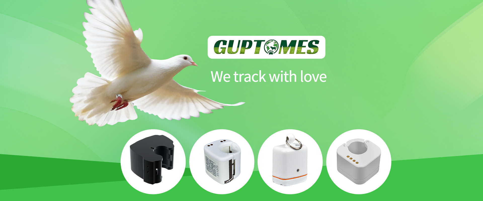 Qualidade Rastreador GPS para Animais fábrica