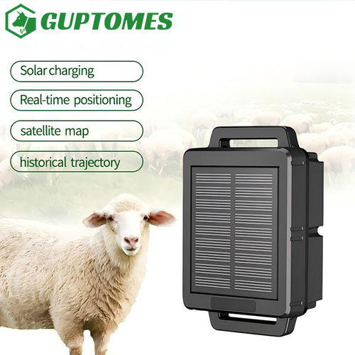 Latest company news about GUPTOMES Sheep Livestock Tracker—Solar Power and IP68 Waterproofing Guarantee Continuous Sheep Monitoring