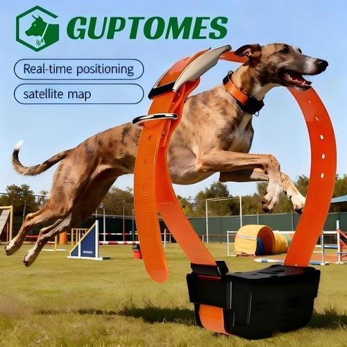 Latest company news about GUPTOMES  Professional GPS Dog Collar—Lightweight Design Meets Ultimate Security and Communication