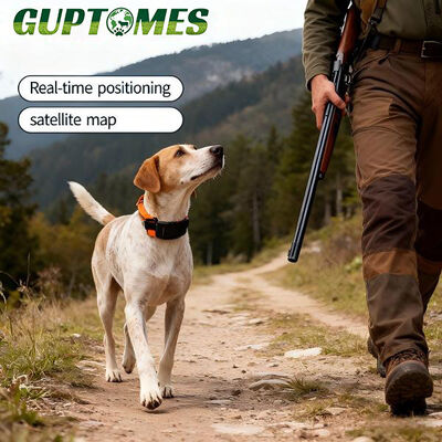 Harga yang bagus Sistem Pelacak GPS Anjing Mode Ganda GPS LBS Baterai 4000mAh Pelacak Kerah Anjing on line