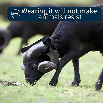 Traqueur GPS pour moutons IP68 10000mAh Traqueur GPS pour animaux de compagnie