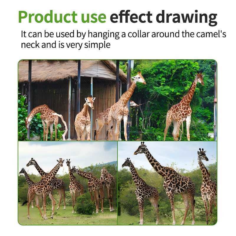 Appareil de repérage GPS à double mode pour la faune avec GPS LBS pour la surveillance à distance