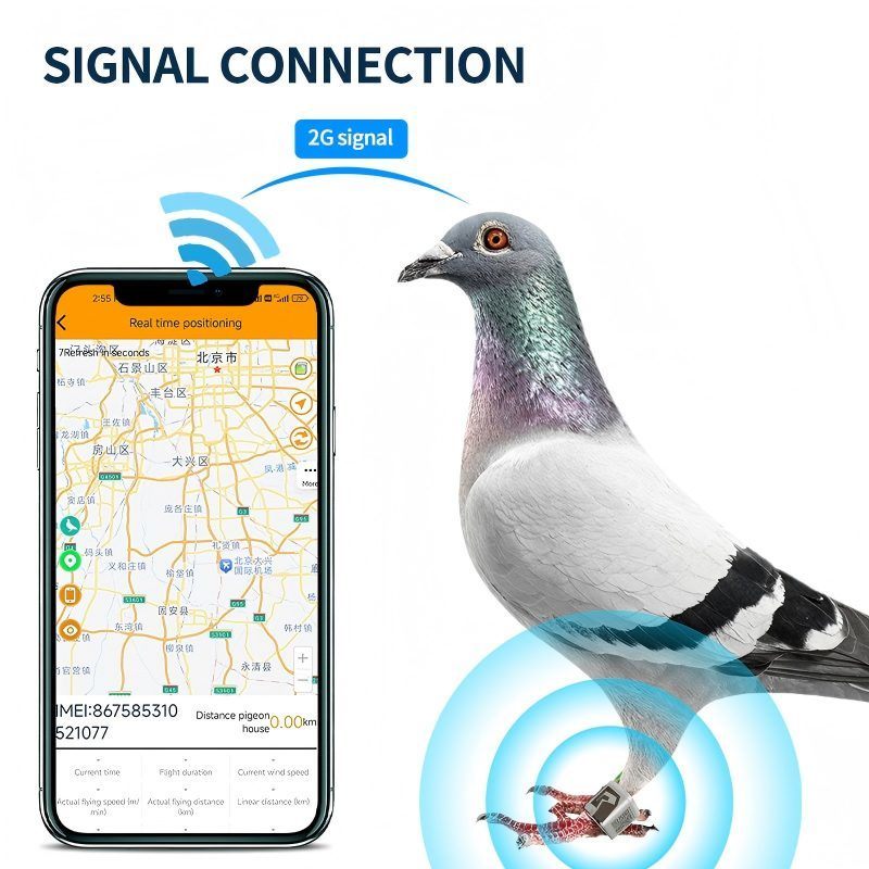Traqueurs GPS pour pigeons légers 5,4 g, étanches, avec suivi de trajectoire de vol et double chargement
