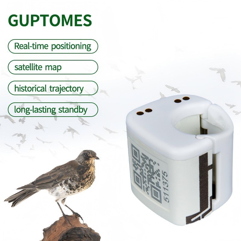 IP67 étanche Petit tracker GPS pour oiseaux 5,4g ultra-légère avec double mode de charge