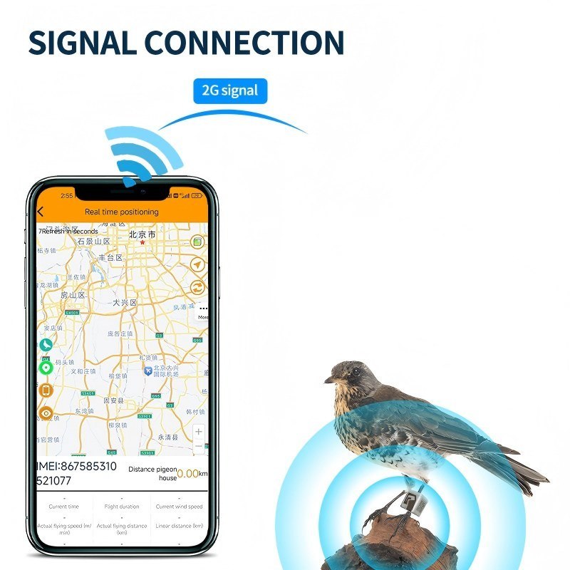 Traqueur GPS pour oiseaux de compagnie avec longue veille de 80mAh, analyse d'entraînement et trajectoire historique