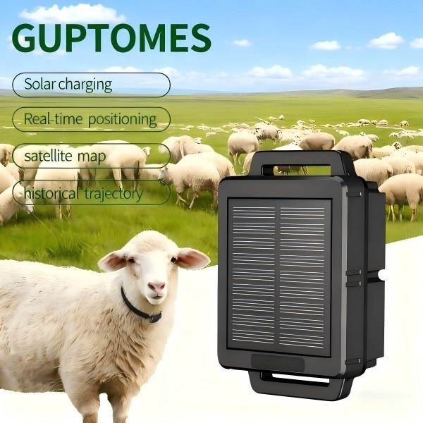 Chargement solaire Appareil de suivi GPS pour moutons IP68 étanche à l'eau 10000mAh Batterie pour la surveillance