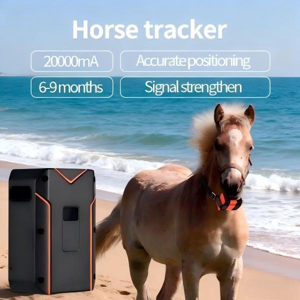 Dispositif de suivi GPS durable à double mode pour chevaux, suivi GPS BDS WIFI pour le bétail et géorepérage
