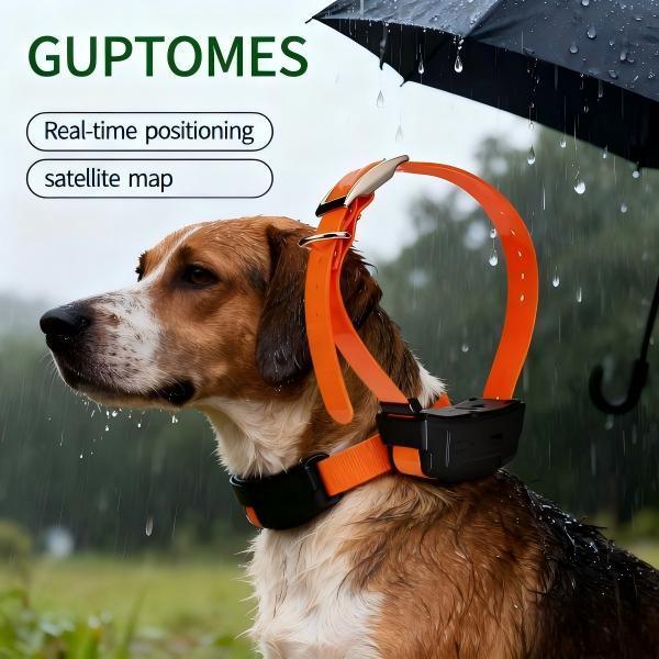 Enregistrement à distance Traqueur GPS pour chien Collier de chien léger Traqueur 148g Poids