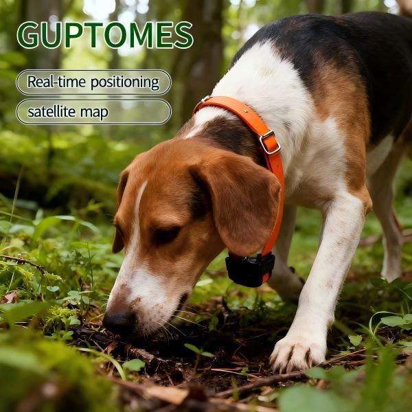 Dispositif de suivi du collier de chien avec clôture électronique et trajectoire historique