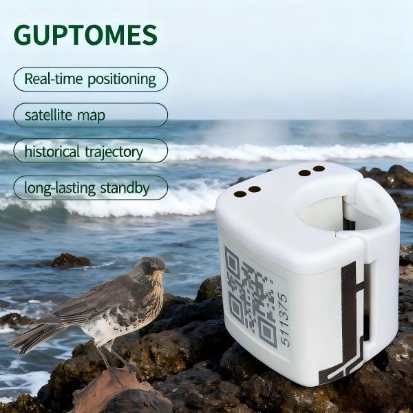 Dispositif de suivi GPS pour petits oiseaux à double chargement Type C pour un positionnement en temps réel