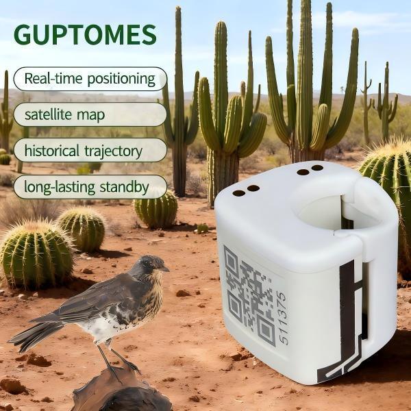 Traqueur GPS pour oiseaux de compagnie avec longue veille de 80mAh, analyse d'entraînement et trajectoire historique