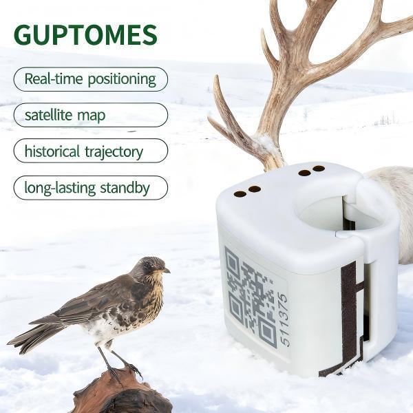 IP67 étanche Petit tracker GPS pour oiseaux 5,4g ultra-légère avec double mode de charge