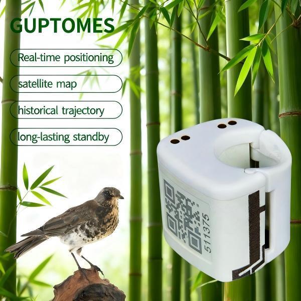 GPS+LBS Mini Traqueurs GPS pour oiseaux 80mAh 2G Réseau positionnement en temps réel