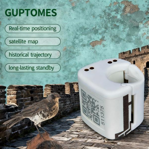 5.4g GPS LBS Oiseau GPS Tracker imperméable à l'eau 2G Position en temps réel en veille longue