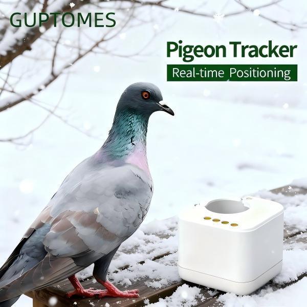 Traqueur GPS léger pour pigeons voyageurs de 2,6 g, inviolable, non temps réel, bague GPS