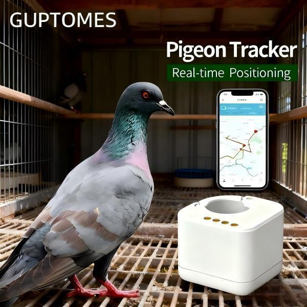 2.6g non en temps réel Pigeon Tracker Ring 36h Batterie stockage local chiffré
