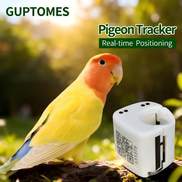 GPS LBS en double mode Oiseau perroquet GPS Tracker 2G avec trajectoire de vol et trajectoire historique