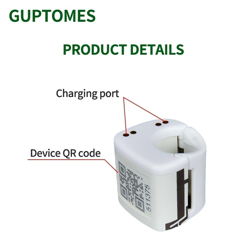 Oiseaux de course mini Traqueur GPS étanche Localisateur de positionnement en temps réel Ringe GPS pour perroquets
