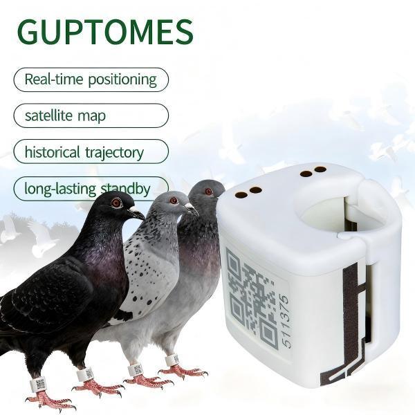 Traqueurs GPS pour pigeons durables 5.4g ultra compacts pour le suivi en temps réel du vol