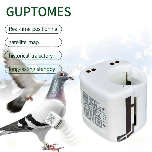 Dispositif de suivi GPS pour pigeons avec géorepérage, étanche et avec historique de trajectoire de vol
