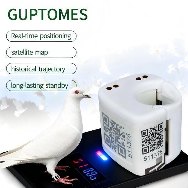 Anneaux de suivi GPS pour pigeons de course à double charge Type C, positionnement précis GPS LBS