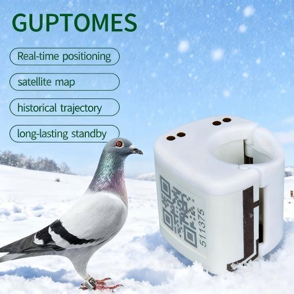 Traqueurs GPS pour pigeons légers 5,4 g, étanches, avec suivi de trajectoire de vol et double chargement