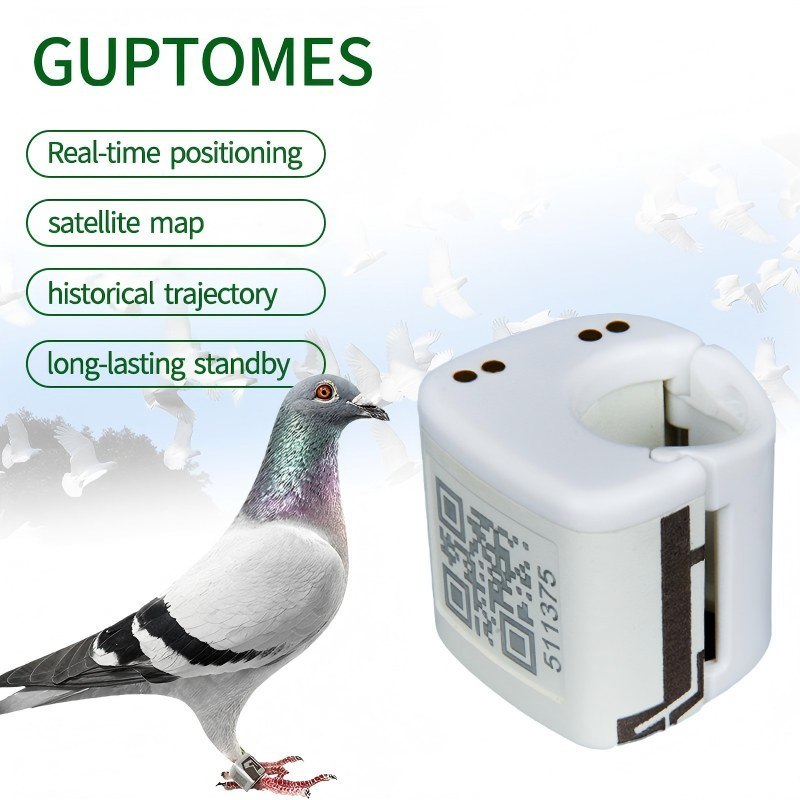 Traqueurs GPS pour pigeons légers 5,4 g, étanches, avec suivi de trajectoire de vol et double chargement