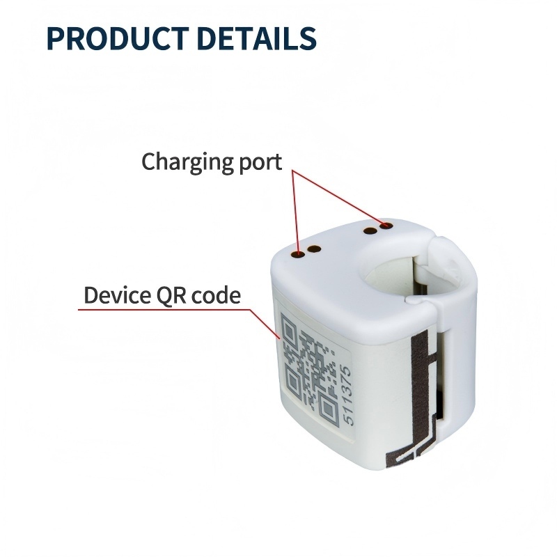 Dispositif de suivi GPS+LBS pour pigeons, haute précision 5-15m, étanche quotidiennement, 80mAh, chargement Type-C