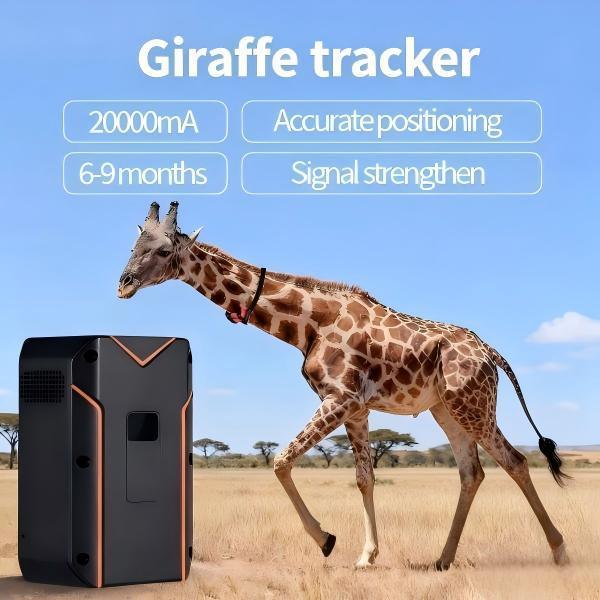 Appareil de repérage GPS à double mode pour la faune avec GPS LBS pour la surveillance à distance
