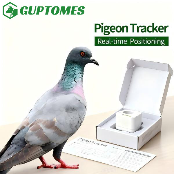 Compact Racing Pigeon Tracking Devices Rings 2.6g Data Security For Breeding Selection