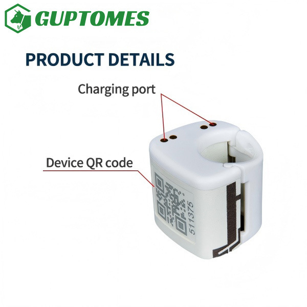 Type C Dual Charging Small Bird GPS Tracking Device For Real Time Positioning