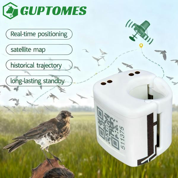 80mAh Long Standby Pet Bird GPS Tracker With Training Analysis And Historical Trajectory