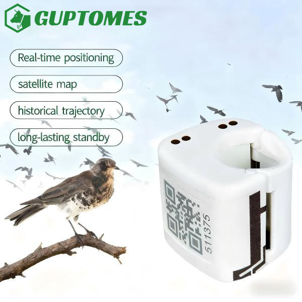 IP67 Waterproof Bird GPS Monitoring System 5-15m Accuracy With Multi Unit Tracking