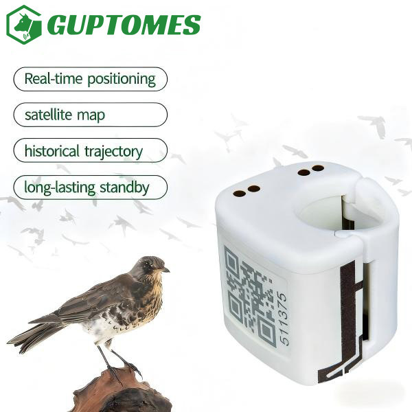 Ultra-Light 5.4g GPS+LBS Bird Tracker, 2G, Real-time Positioning, Long Standby
