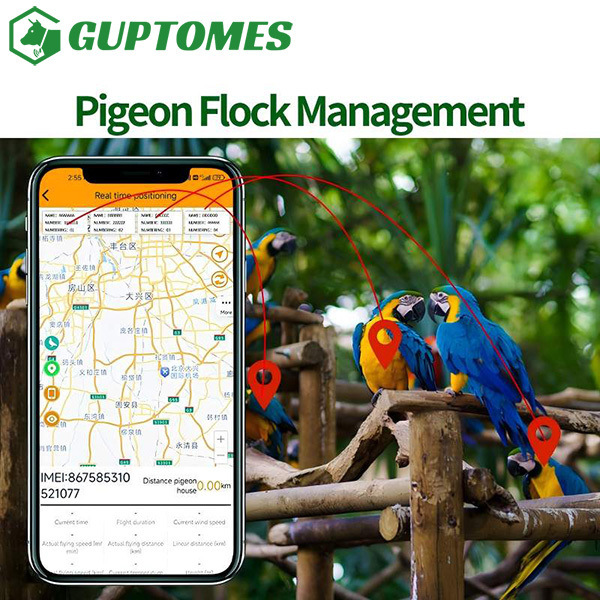 Waterproof Mini Pigeon Animals GPS Tracker Device Ultra Light 5.4g GPS LBS Real Time
