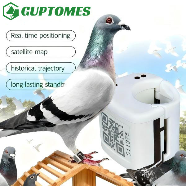Type-C Dual Charging Pigeon GPS Tracker GPS+LBS Precise Positioning For Racing Pigeons