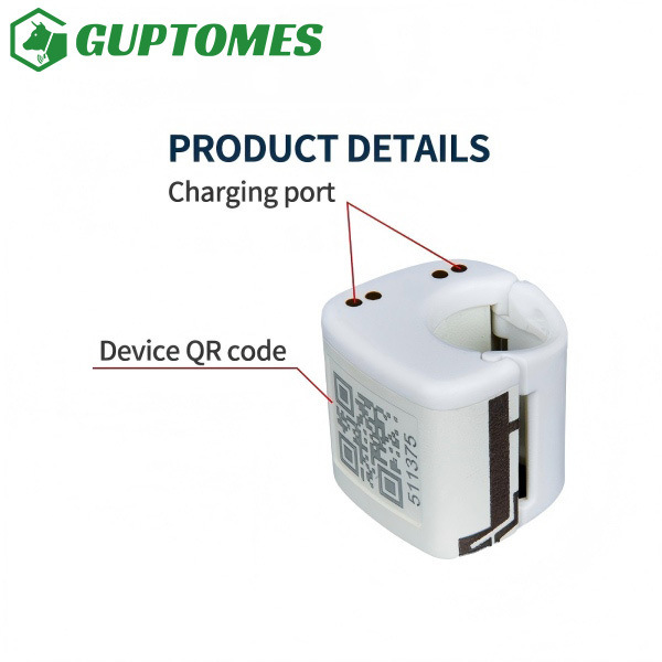 Durable Pigeon GPS Trackers 5.4g Ultra Compact For Real Time Flight Monitoring