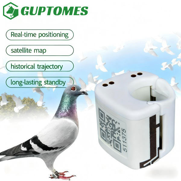 Durable Pigeon GPS Trackers 5.4g Ultra Compact For Real Time Flight Monitoring