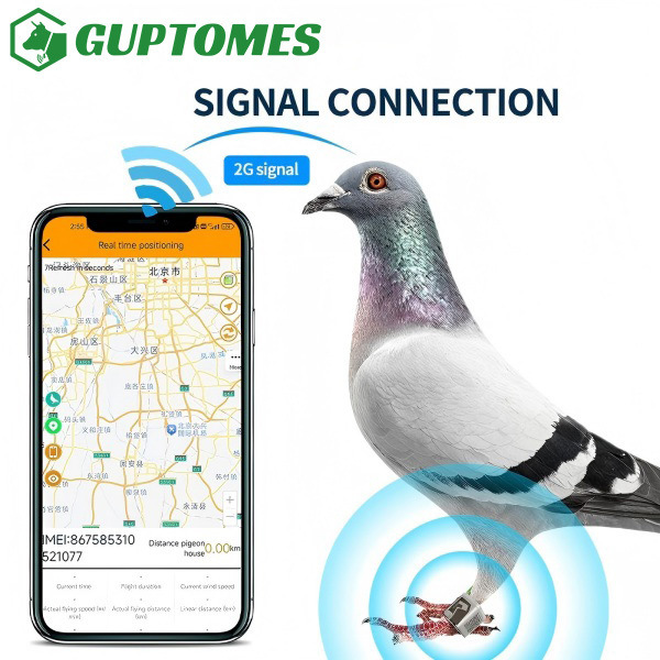 Durable Pigeon GPS Trackers 5.4g Ultra Compact For Real Time Flight Monitoring