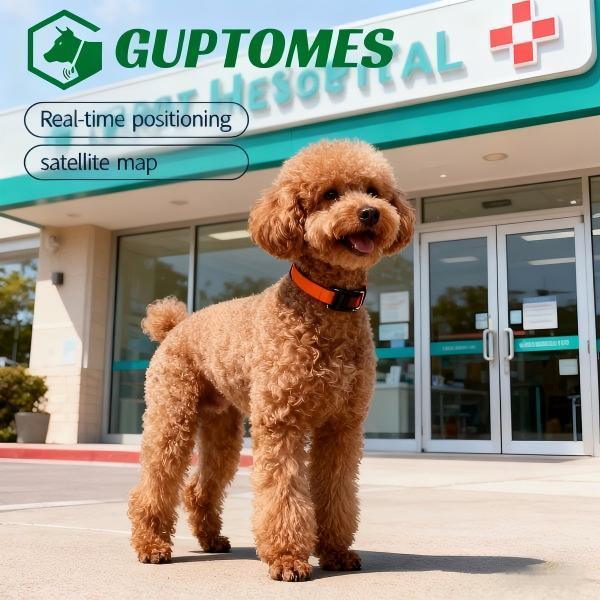 GPS+LBS Dual-Mode Dog Tracker Collar With 4000mAh Battery, Voice Intercom & Remote Recording