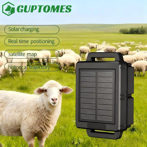 GPS BDS AGPS Multi Mode Livestock Sheep Tracker GPS Solar Tracking Device For Remote Farm