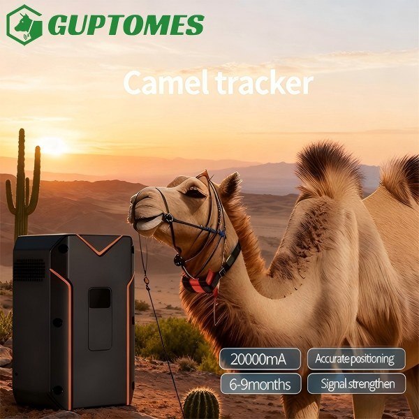 Voice Intercom Camel Tracking Device With Geo Fencing Real Time Historical Trajectory