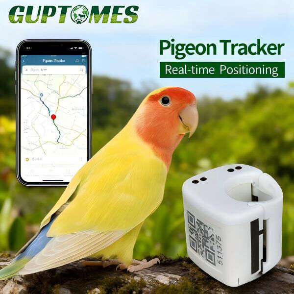 GPS-трекер для птиц – 2G, двойной режим с отслеживанием траектории полета