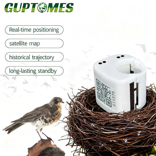Type C Dual Charging Small Bird GPS Tracker - 5.4g