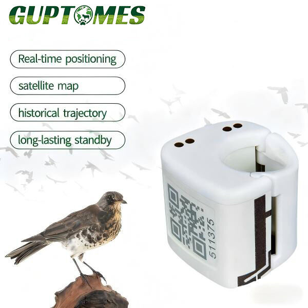 IP67 Waterproof Bird GPS Tracker with 5-15m Accuracy