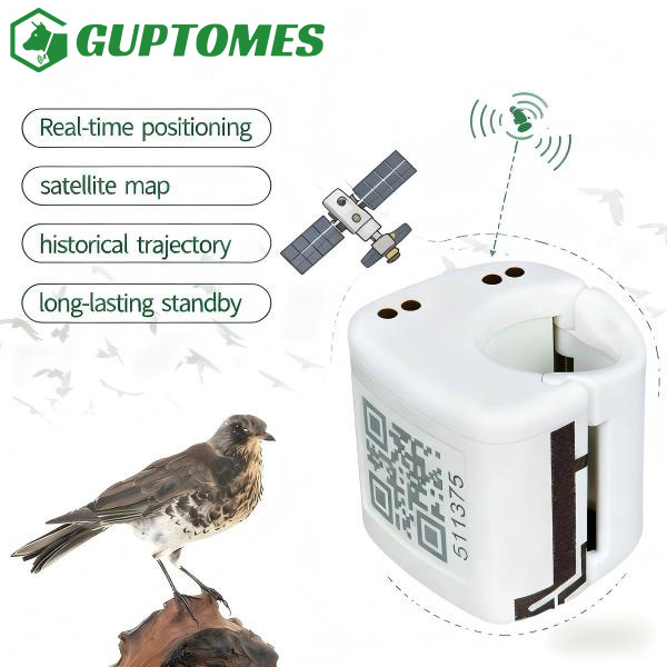 5.4g IP67 Waterproof GPS Tracker for Birds & Small Pets