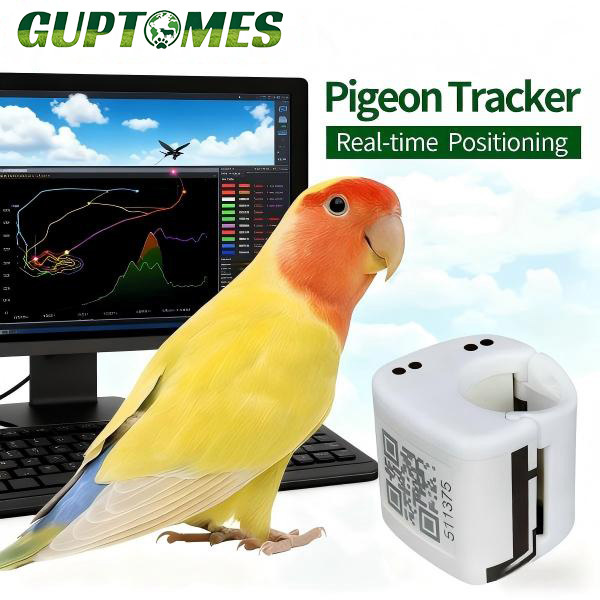 Parrot GPS Tracker – Lightweight Real-Time Pet Bird Monitoring